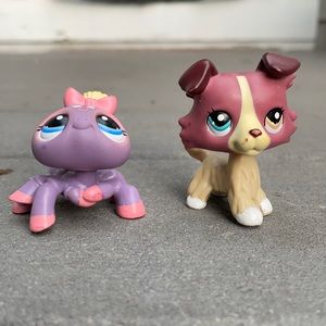 littlest pet shop spider #1619 + fake collie #1262